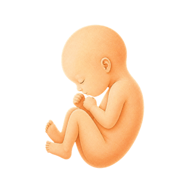 Illustration for week 28