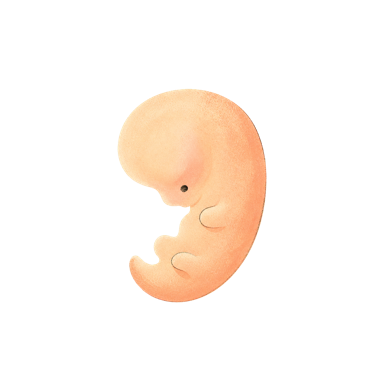 Illustration for week 6