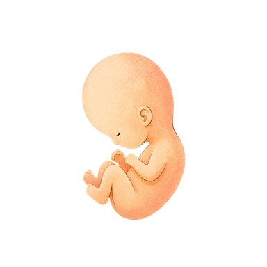 Illustration for week 9